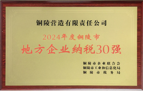 2024年度地方企業(yè)納稅30強